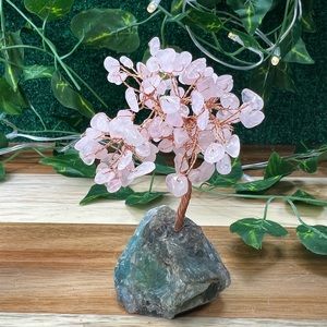 Money tree crystal chips